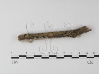 登錄號:F0025482藏品圖，第4張