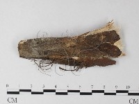 登錄號:F0025483藏品圖，第1張