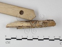 登錄號:F0025484藏品圖，第1張