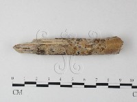 登錄號:F0025484藏品圖，第3張