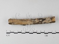 登錄號:F0025485藏品圖，第1張