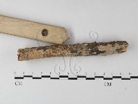 登錄號:F0025485藏品圖，第3張