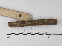 登錄號:F0025485藏品圖，第4張