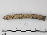 登錄號:F0025486藏品圖，第1張