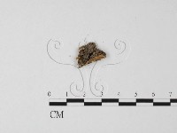 登錄號:F0025487藏品圖，第3張