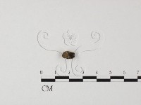登錄號:F0025488藏品圖，第3張