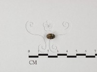 登錄號:F0025488藏品圖，第4張