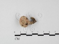 登錄號:F0025494藏品圖，第1張