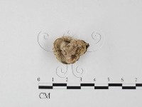 登錄號:F0025494藏品圖，第3張