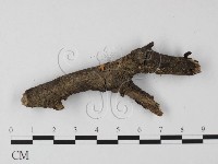 登錄號:F0025495藏品圖，第3張
