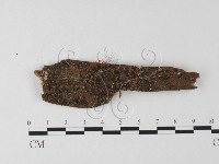 登錄號:F0025498藏品圖，第1張