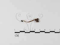 登錄號:F0025499藏品圖，第1張