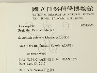 登錄號:F0025500藏品圖，第2張