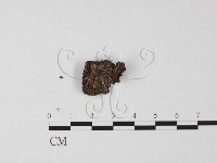 登錄號:F0025500藏品圖，第3張