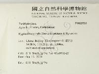 登錄號:F0025506藏品圖，第2張