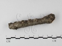登錄號:F0025507藏品圖，第1張