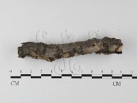 登錄號:F0025507藏品圖，第3張