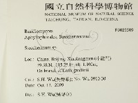 齒耳菌屬藏品圖，第2張