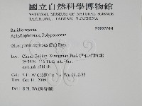 登錄號:F0025510藏品圖，第2張