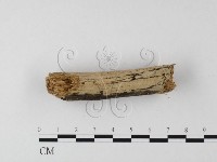 登錄號:F0025512藏品圖，第1張