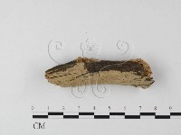 登錄號:F0025512藏品圖，第3張