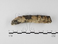 登錄號:F0025515藏品圖，第1張