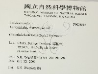 登錄號:F0025516藏品圖，第2張