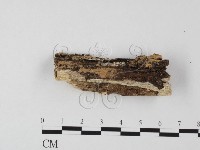 登錄號:F0025516藏品圖，第1張