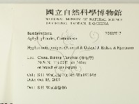 登錄號:F0025517藏品圖，第2張