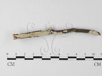 登錄號:F0025517藏品圖，第1張