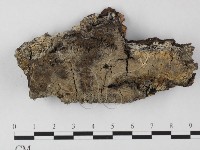 登錄號:F0025518藏品圖，第1張