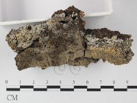 登錄號:F0025518藏品圖，第3張