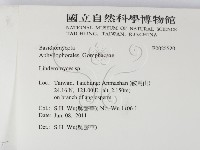 登錄號:F0025520藏品圖，第2張