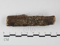 登錄號:F0025520藏品圖，第1張