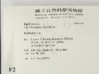 絲齒菌屬藏品圖，第2張