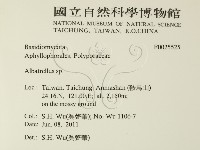 登錄號:F0025525藏品圖，第2張