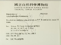 登錄號:F0025526藏品圖，第2張