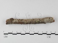 登錄號:F0025526藏品圖，第1張