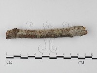 登錄號:F0025526藏品圖，第5張