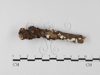 登錄號:F0025527藏品圖，第1張
