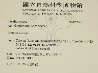 登錄號:F0025532藏品圖，第2張