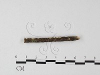 登錄號:F0025532藏品圖，第3張