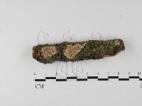 登錄號:F0025533藏品圖，第1張