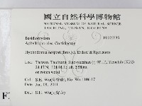 登錄號:F0025535藏品圖，第2張