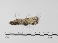 登錄號:F0025536藏品圖，第1張