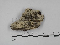 登錄號:F0025537藏品圖，第1張