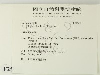 筍殼菌屬藏品圖，第2張