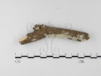 登錄號:F0025546藏品圖，第4張