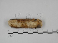 登錄號:F0025548藏品圖，第1張