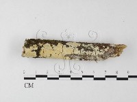 登錄號:F0025550藏品圖，第1張